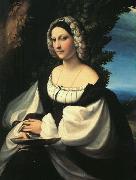 CORNELISZ VAN OOSTSANEN, Jacob Portrait of a Gentlewoman df oil painting